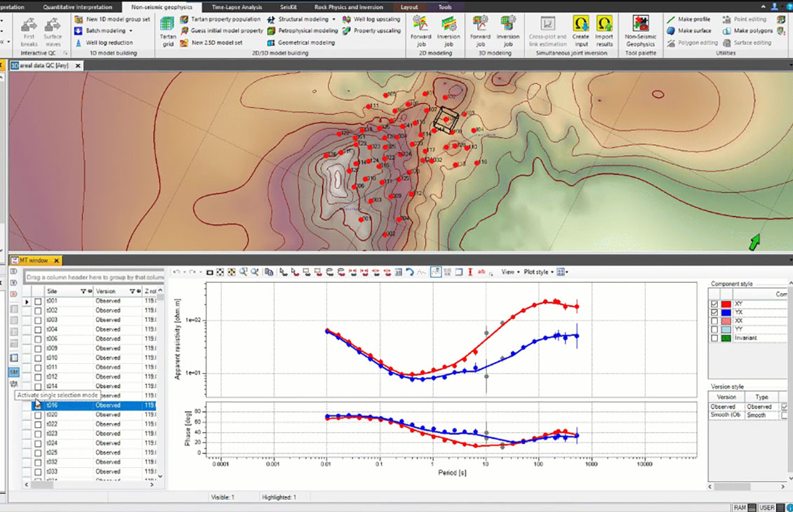 Petrel multiphysics plug-in